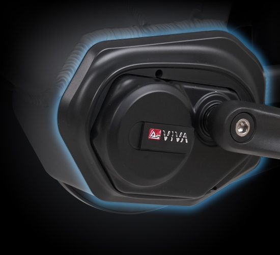 Moteur central puissant 250 W AsVIVA DynamiX M