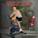 AsVIVA Speedbike Tour S11 – Cadre