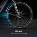 Vélo électrique de ville AsVIVA Stadtfalter B14 – Gris/Blanc – Vue 7