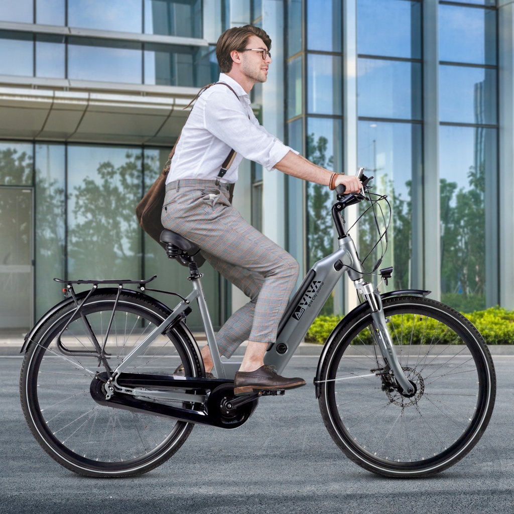 Vélo électrique de ville AsVIVA Stadtfalter B14 – Gris/Blanc – Vue 11