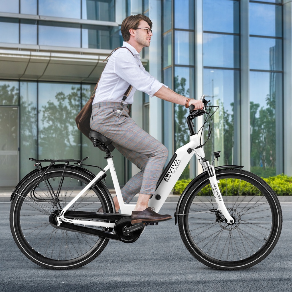 Vélo électrique de ville AsVIVA Stadtfalter B14 – Gris/Blanc – Vue 10