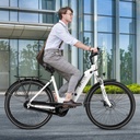Vélo électrique de ville AsVIVA Stadtfalter B14 – Gris/Blanc – Vue 10