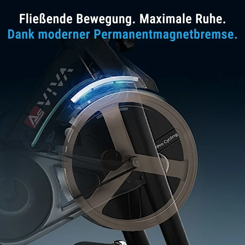 Frein magnétique à faible entretien du AsVIVA Speedbike S11S pour un fonctionnement silencieux et régulier